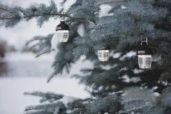 Barebones Beacon Light -Beste Kampeer Winkel Beacon Light Bronze 4