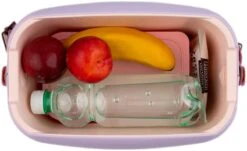 Polarbox 6 Liter 12 Polarbox 6 Liter -Beste Kampeer Winkel polarbox coolerbag gold 6 liter 4